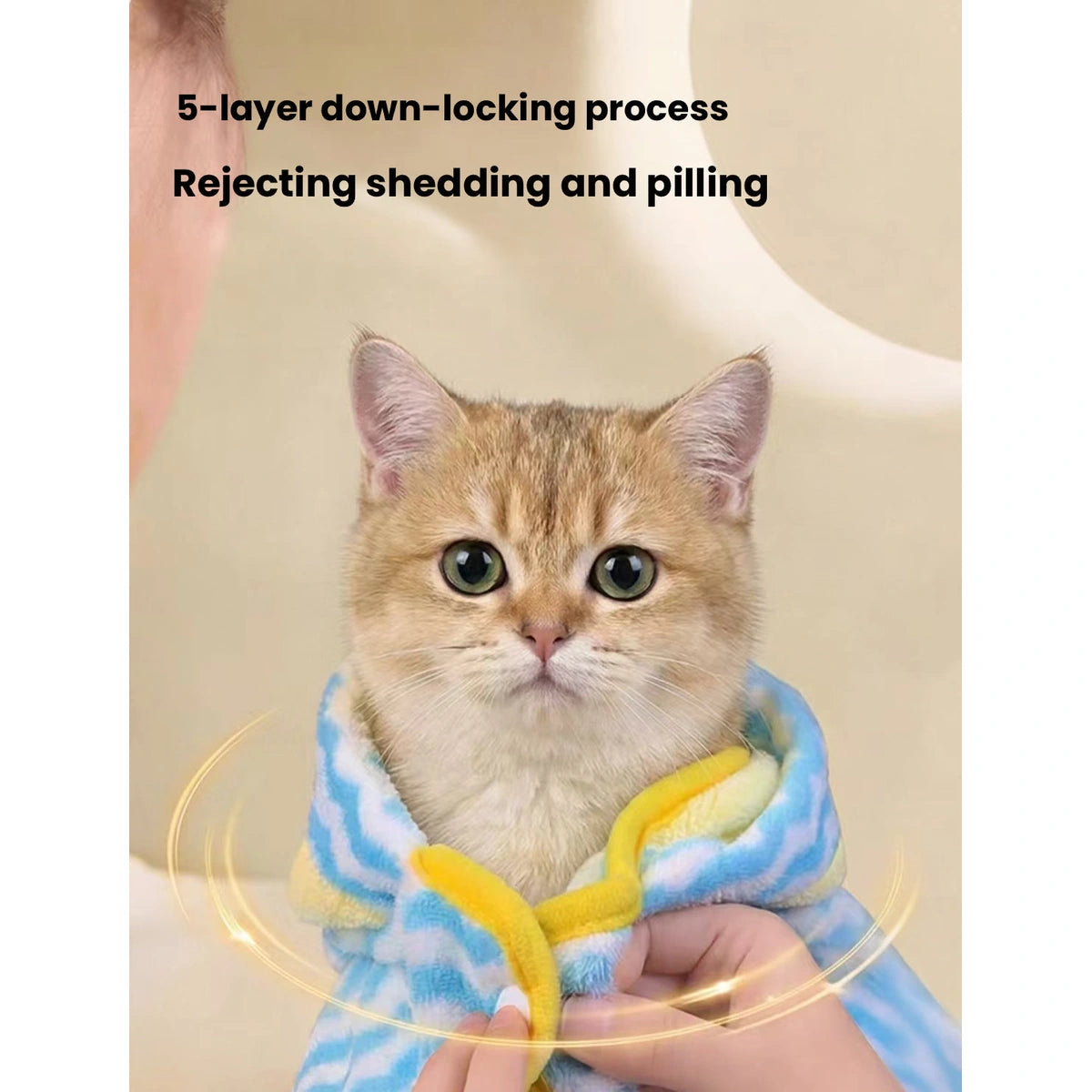 Cat wearing blue hooded pet bathrobe
