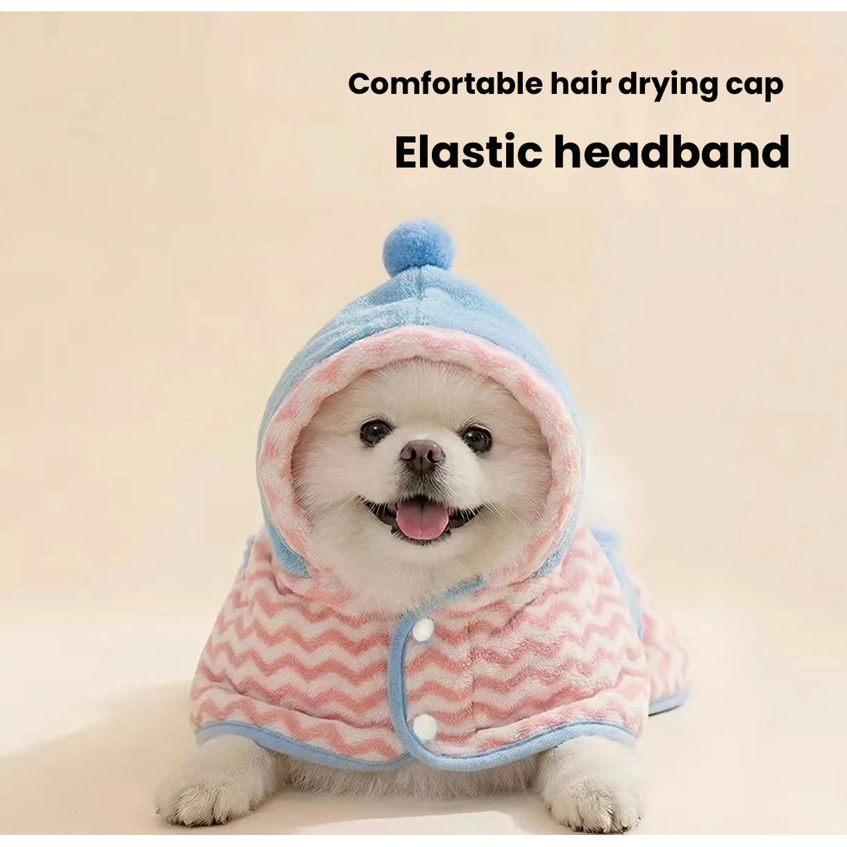 Small dog in pink hooded bathrobe, front view