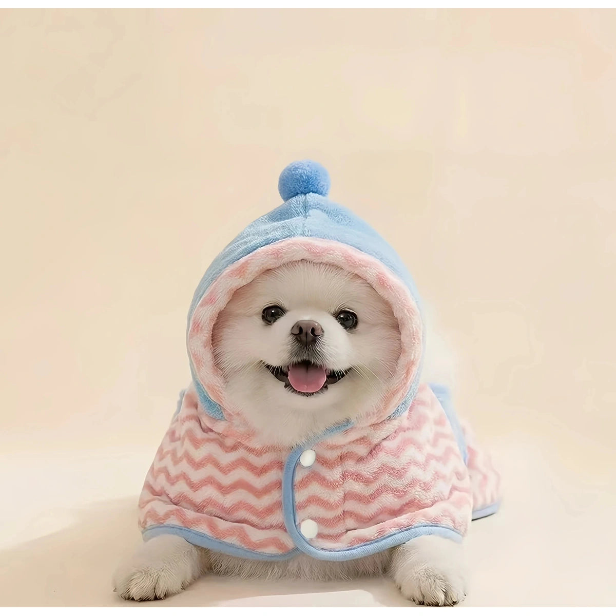 Small dog in pink hooded pet bathrobe, full view