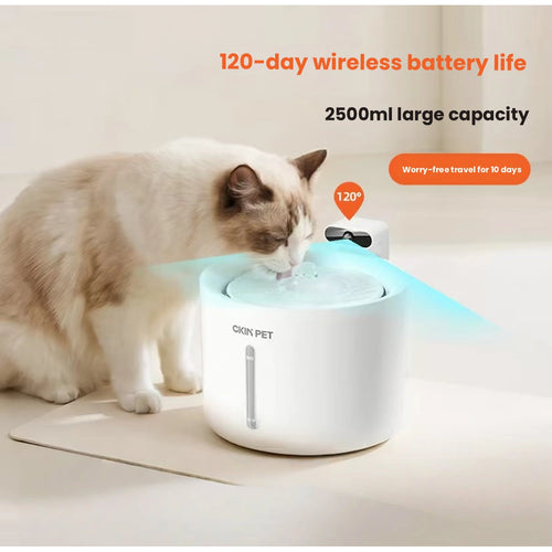 흰색 Ckin Pet 급수기에서 물을 마시는 고양이
