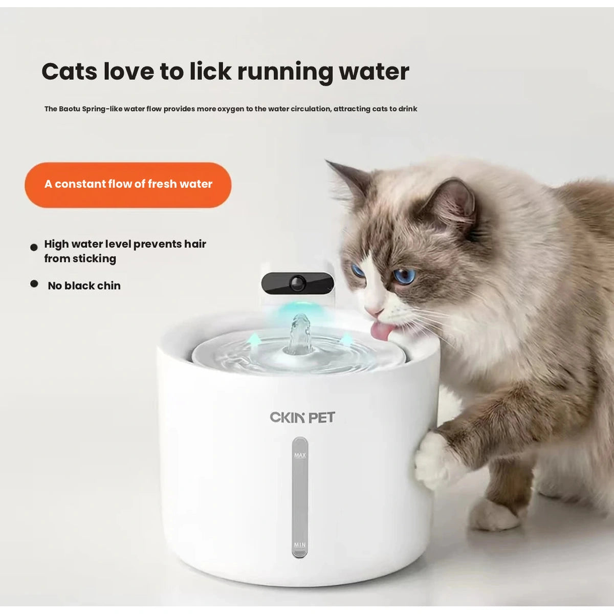 Cat at circulating water outlet on Ckin Pet fountain