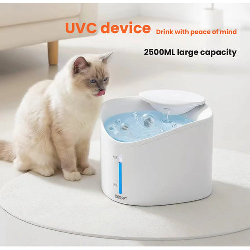 Ckin Pet UV-C 급수기 옆에 있는 고양이