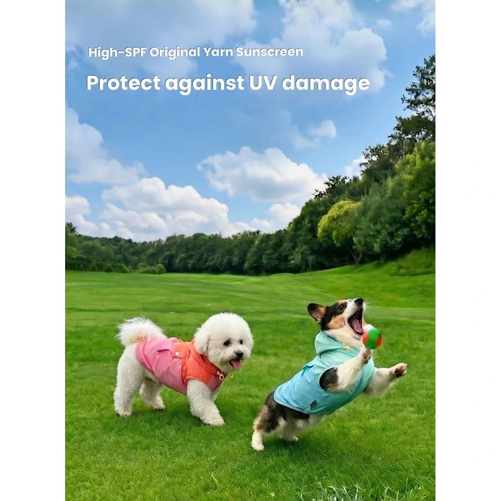 Dogs wearing blue and pink summer vests outdoors