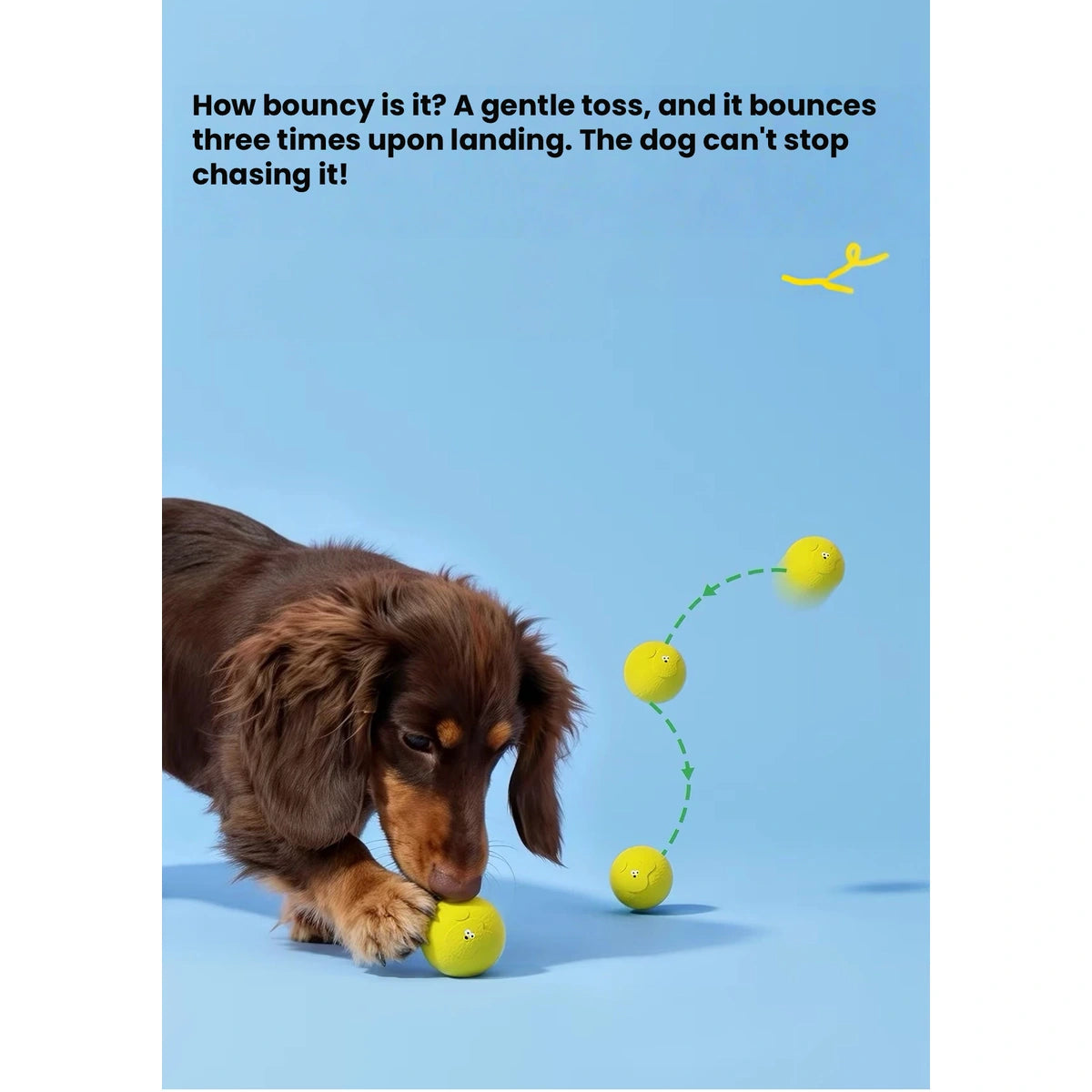Dog playing outdoors with a yellow Roroarrr ball