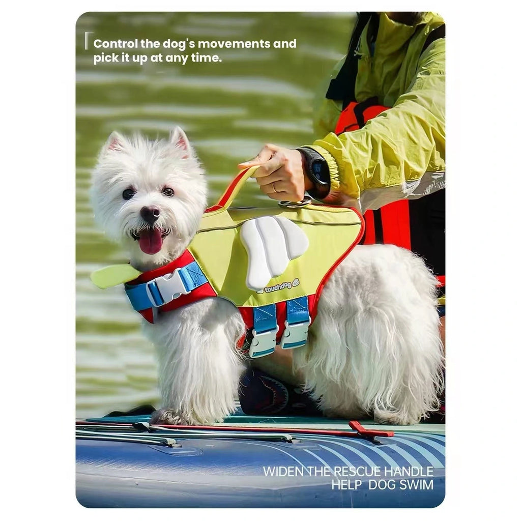 水辺でTouchdogの浮力ベストを着ている小型犬