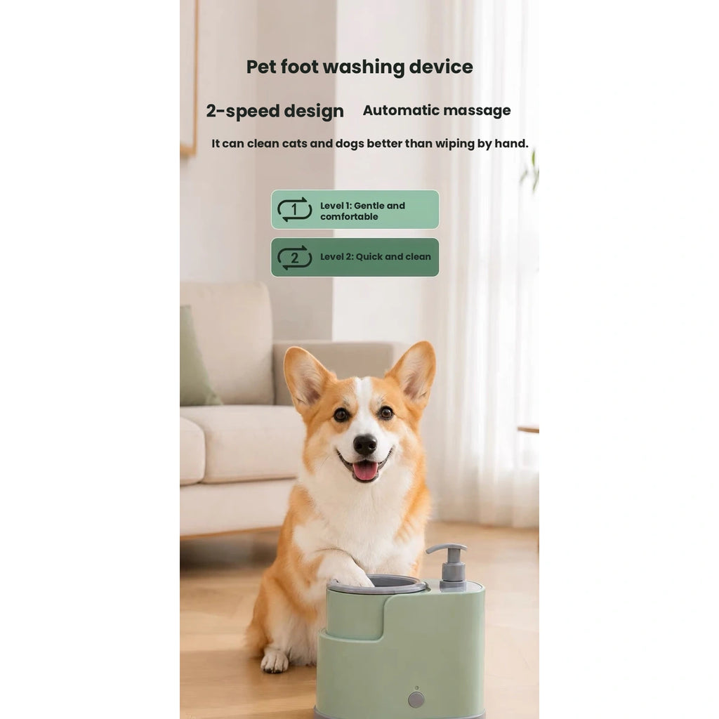 Dog beside green automatic paw washer indoors