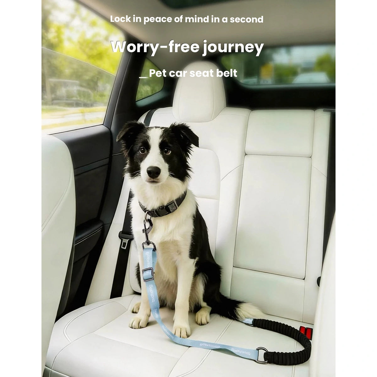 Dog sitting in a car with adjustable Touchdog tether