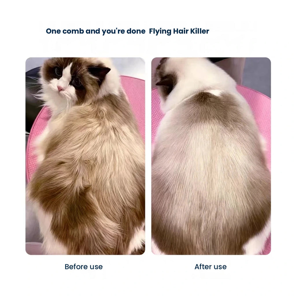 スプレーコームでブラッシングする前後の猫の被毛