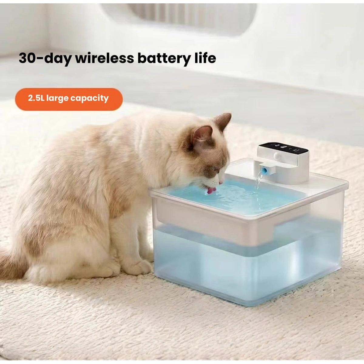 Cat drinking from a square Ckin Pet water fountain
