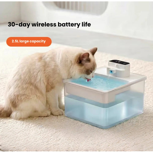 Cat drinking from a square Ckin Pet water fountain