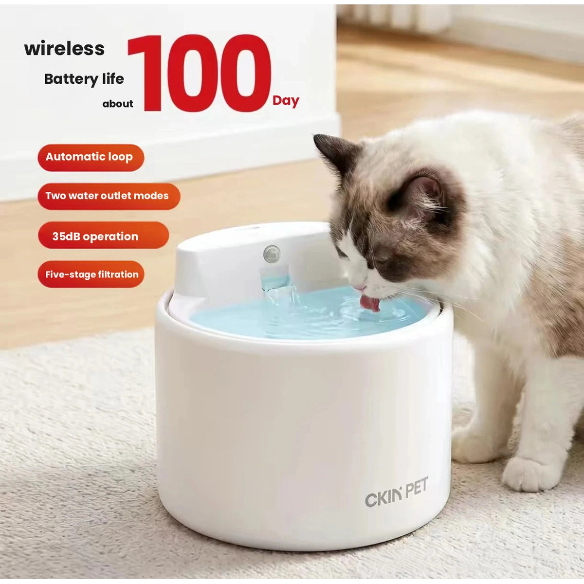 고양이와 물결무늬가 있는 Ckin Pet 세라믹 급수기