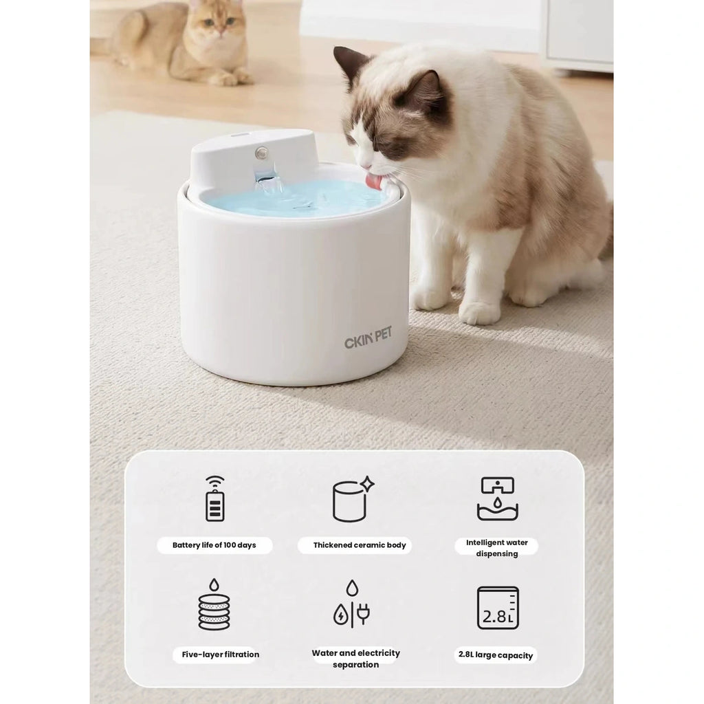 잠자는 고양이 옆에 노이즈 그래픽이 있는 Ckin Pet 급수기