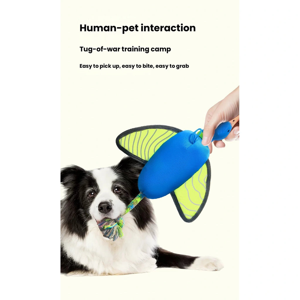 Qzee dog tug toy: person holding toy for supervised dog tug play