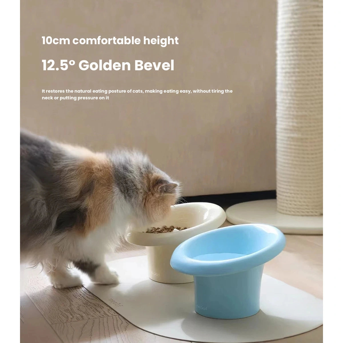 Meoof Fafa pet bowl: raised bowl height beside cat