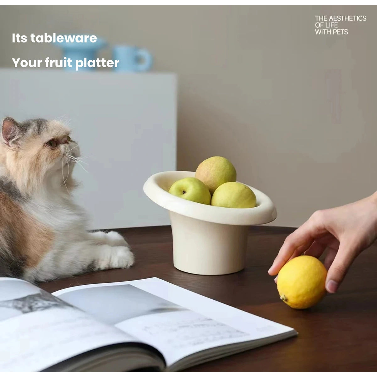 Meoof Fafa pet bowl: cat near blue and white bowl setup