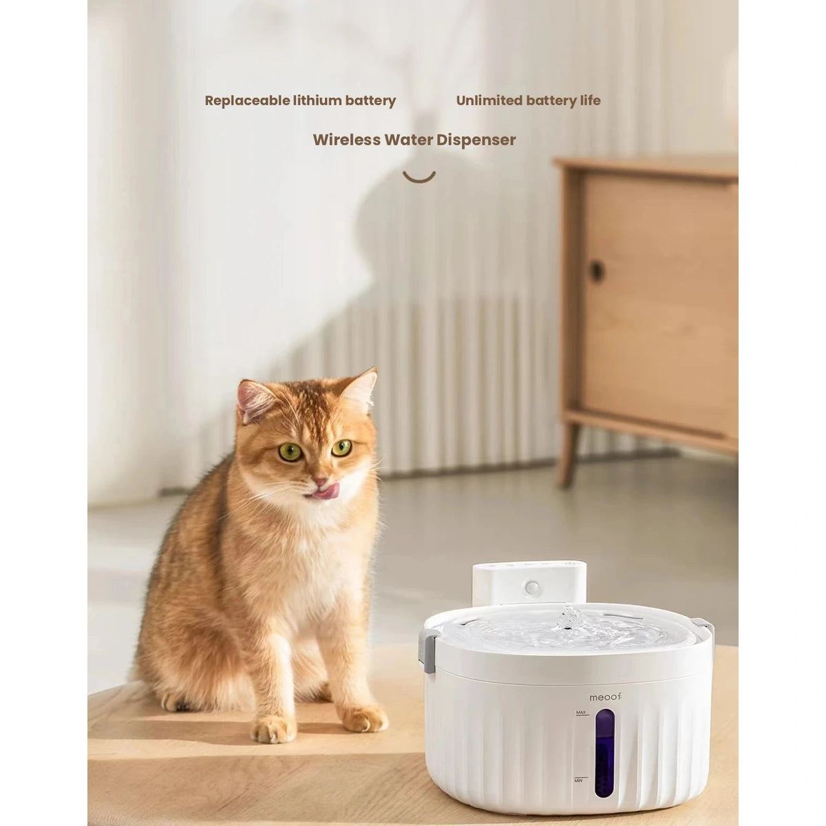 Meoof cat fountain: cat sitting beside white fountain