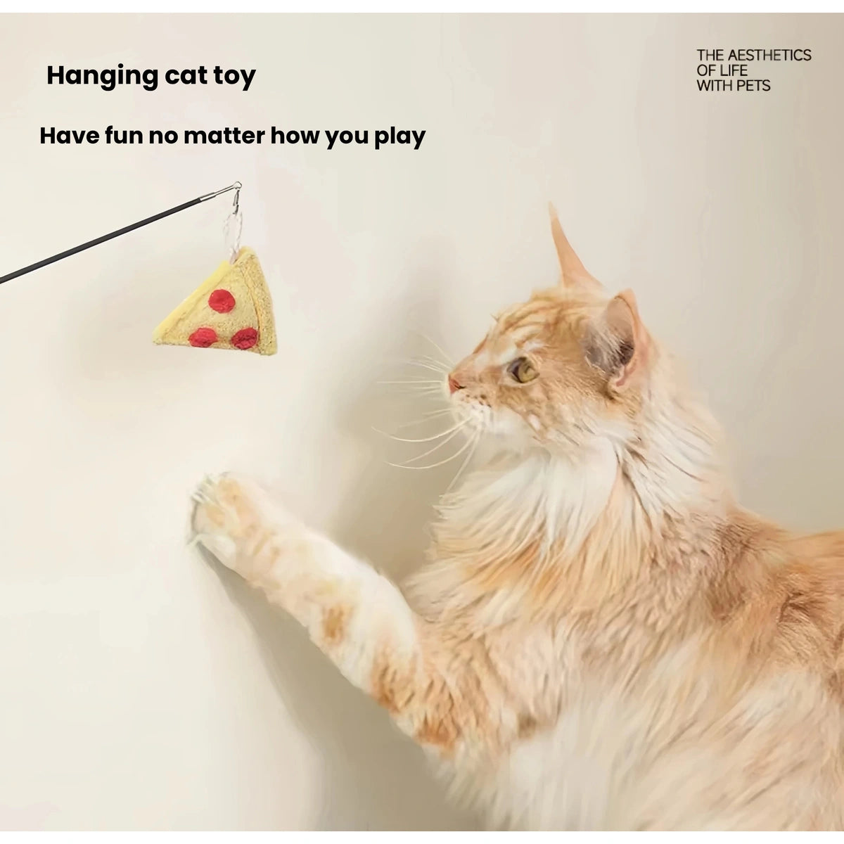 Cat playing with a hanging Meoof food-themed toy