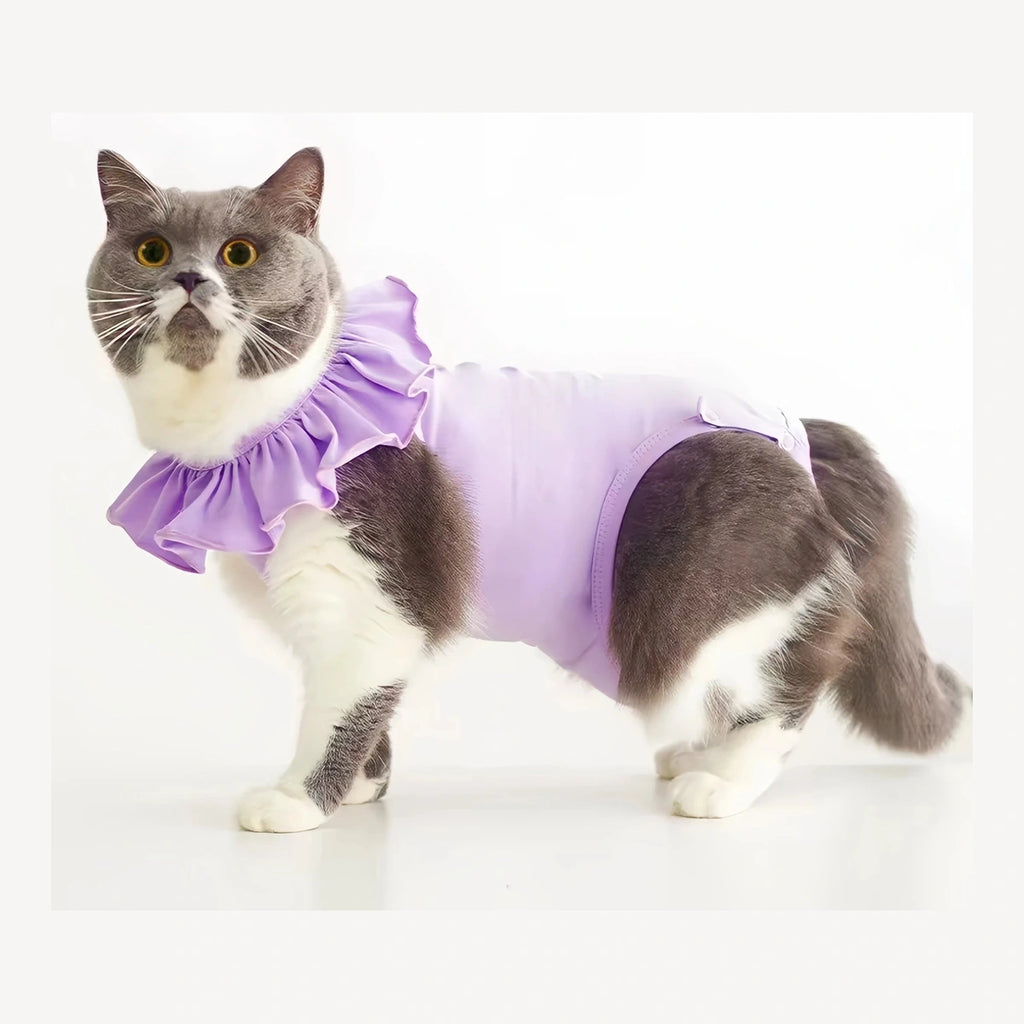 Meoof 猫用リカバリースタイルウェア・4色 画像4：紫・猫・ウェア・色の違い