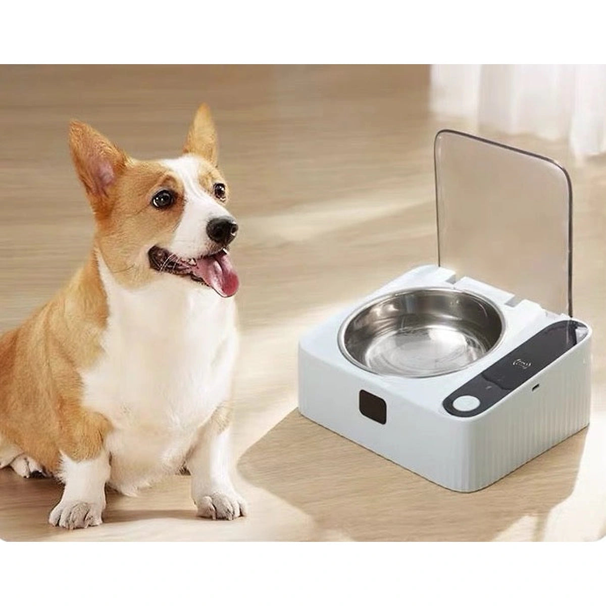 Small dog beside Tanu covered food bowl