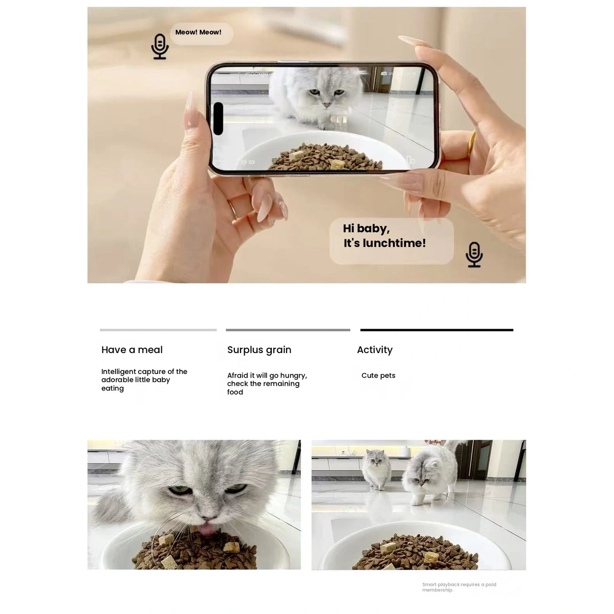 Phone showing Maoxgo feeder video and controls