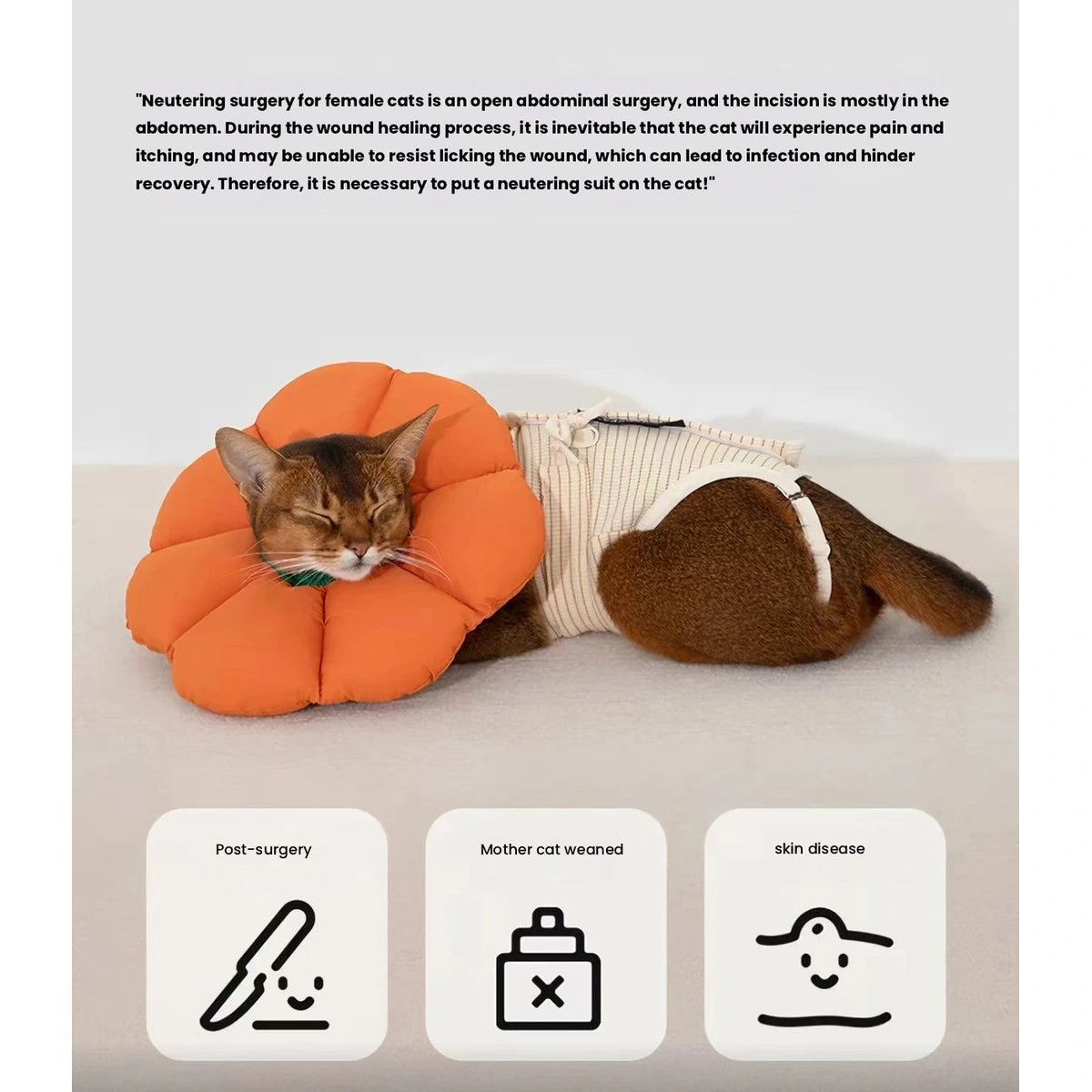 Cat resting in HiDREAM brown bodysuit