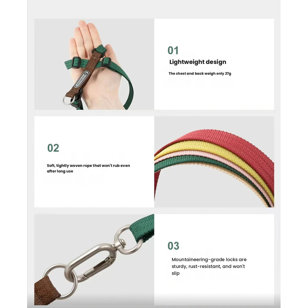 HiDREAM harness strap, clip and lead details