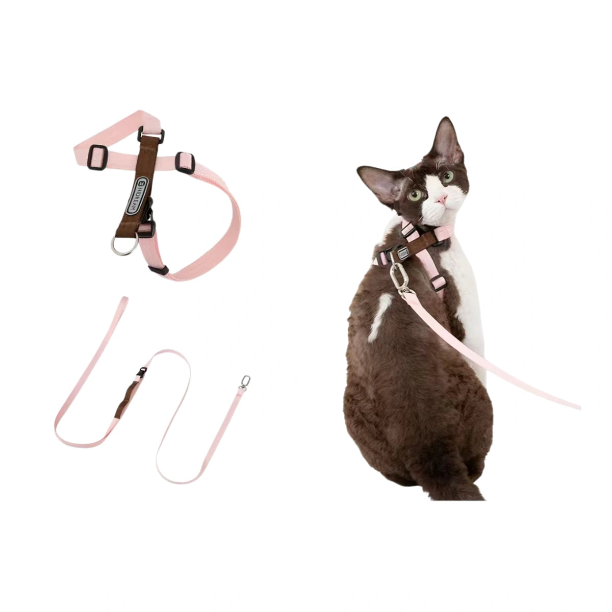 Pink HiDREAM harness and lead on cat