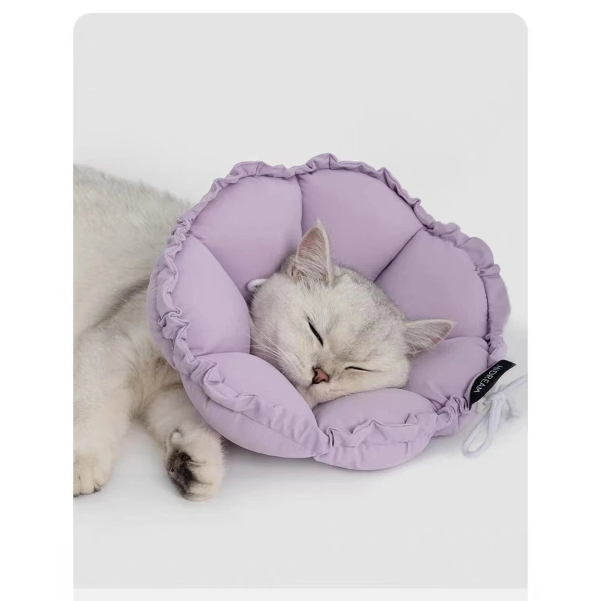 HiDREAM 猫用ソフトカラー｜青・ピンク・紫 画像6：紫・猫・カラー・側面