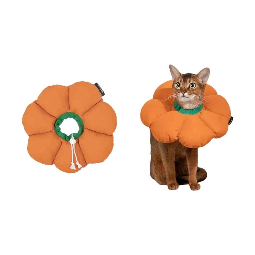 HiDREAM 꽃모양 고양이 넥카라 | 3색 사진1：주황·고양이·넥카라