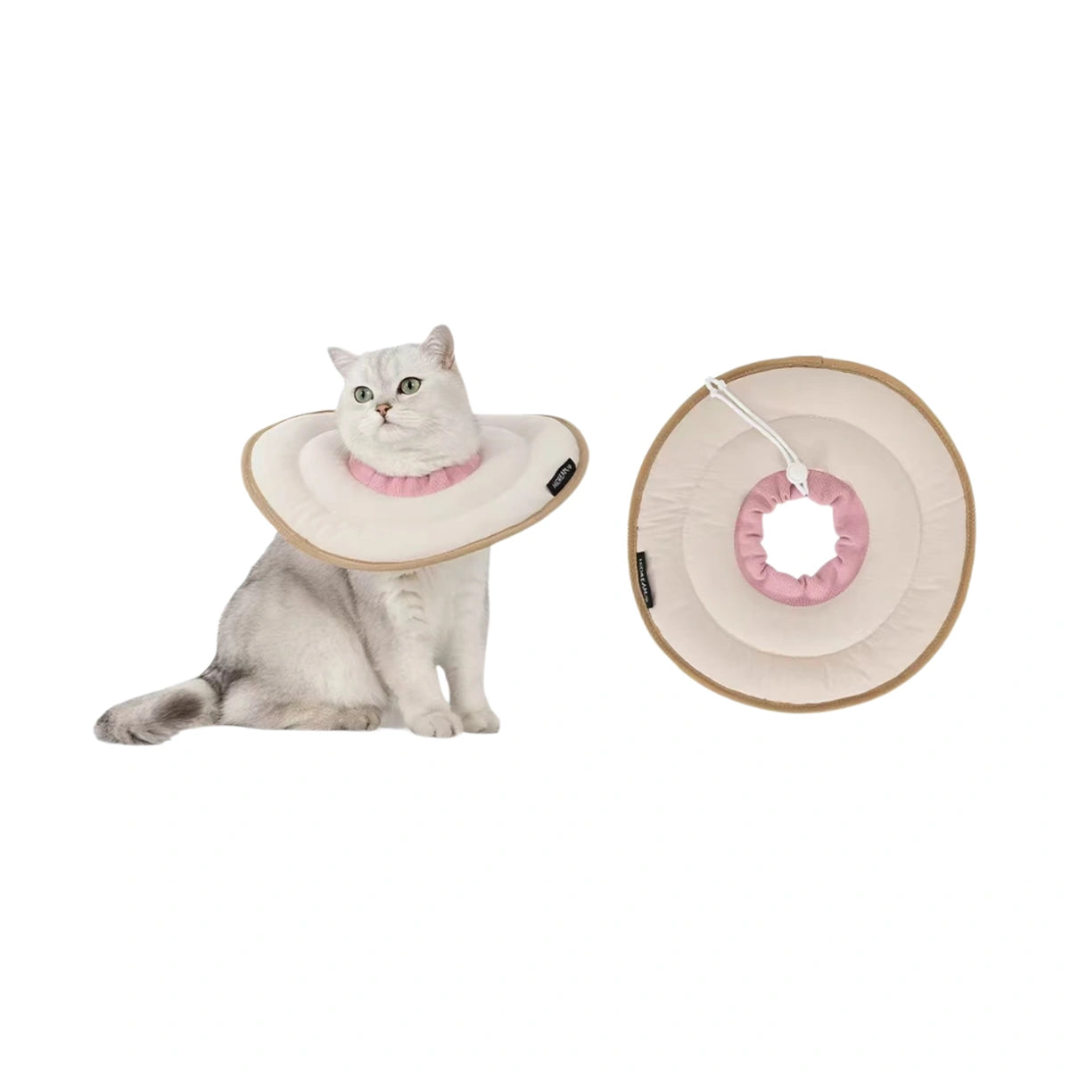 Cat wearing pink HiDREAM donut collar
