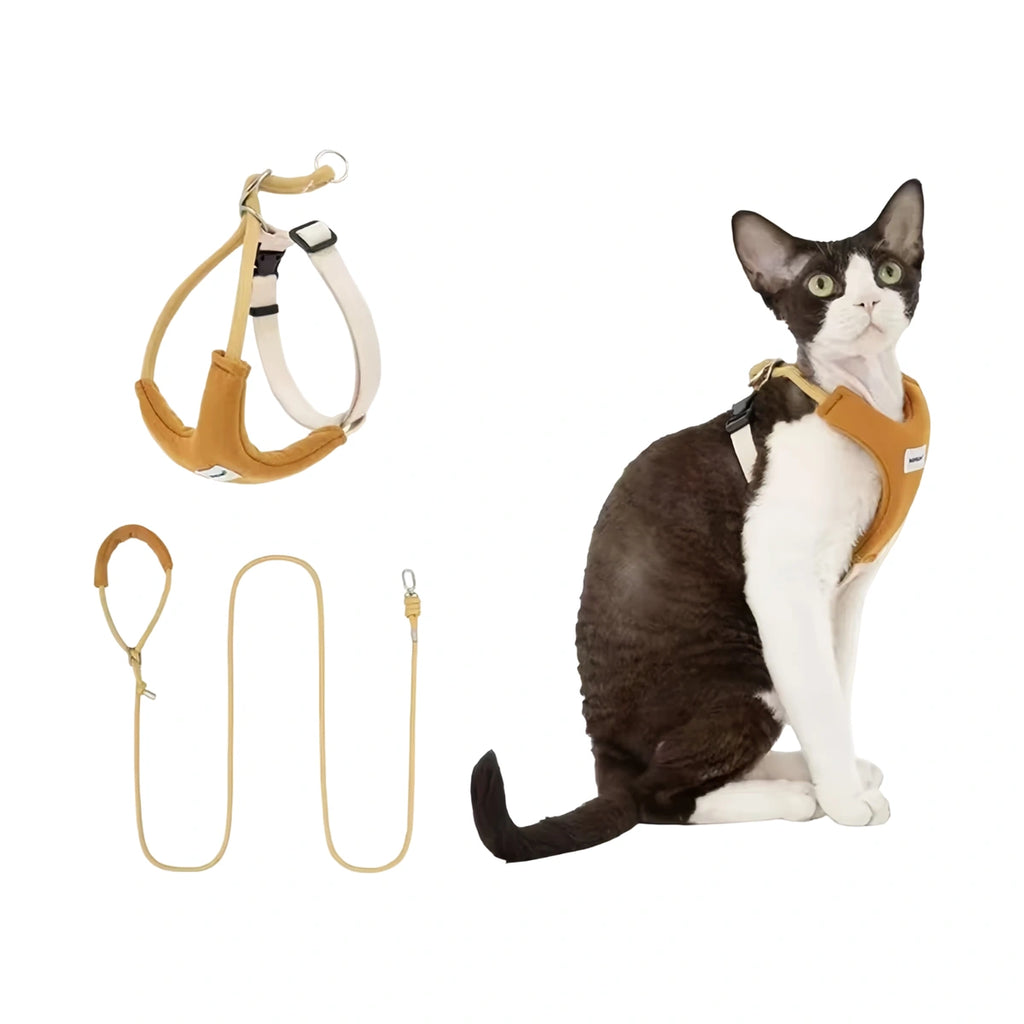 Yellow HiDREAM Y-style cat harness and lead