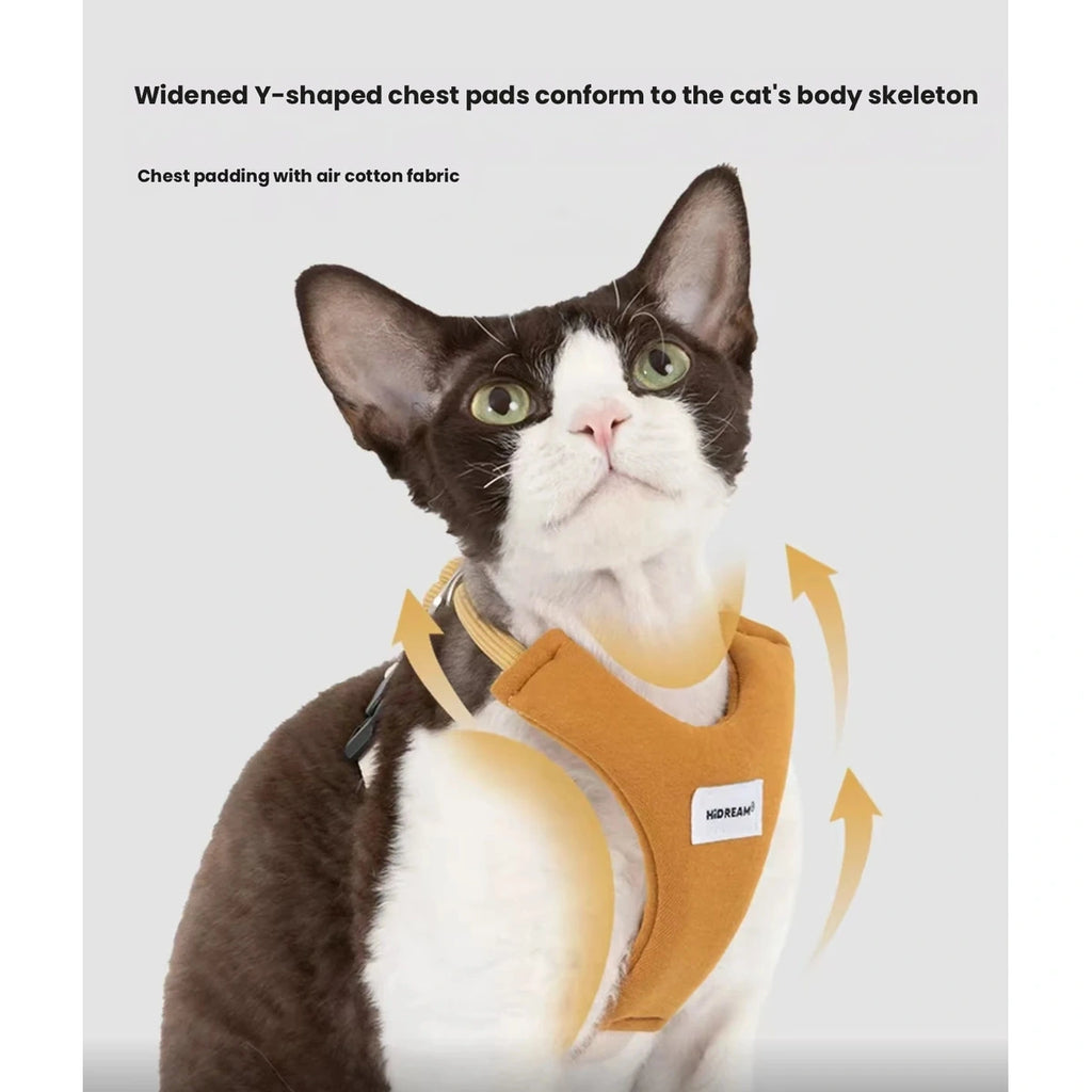 Close-up of cat wearing yellow Y-style harness