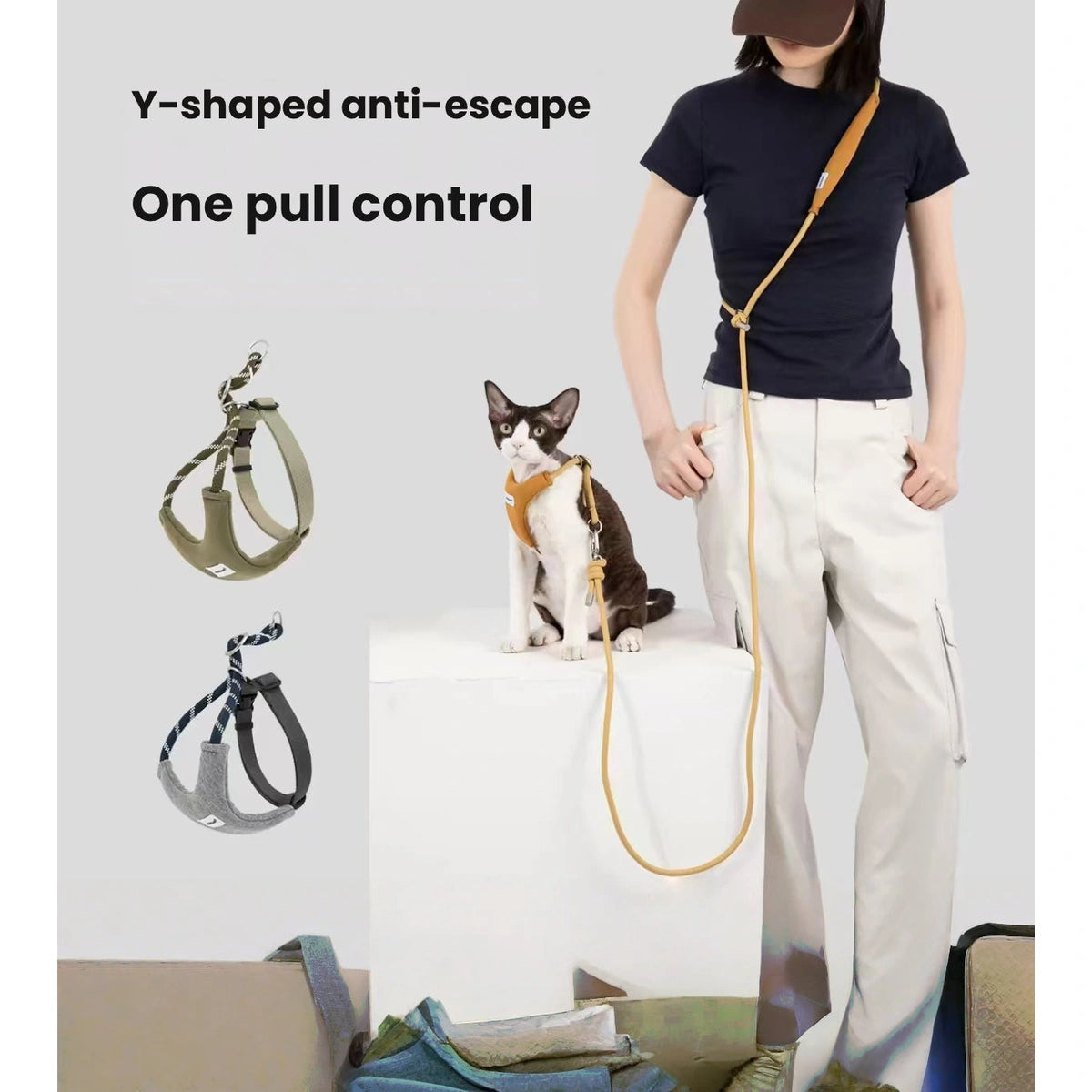 Person walking a cat with HiDREAM lead