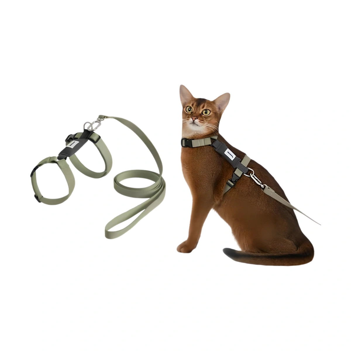 Green HiDREAM H-style harness on cat