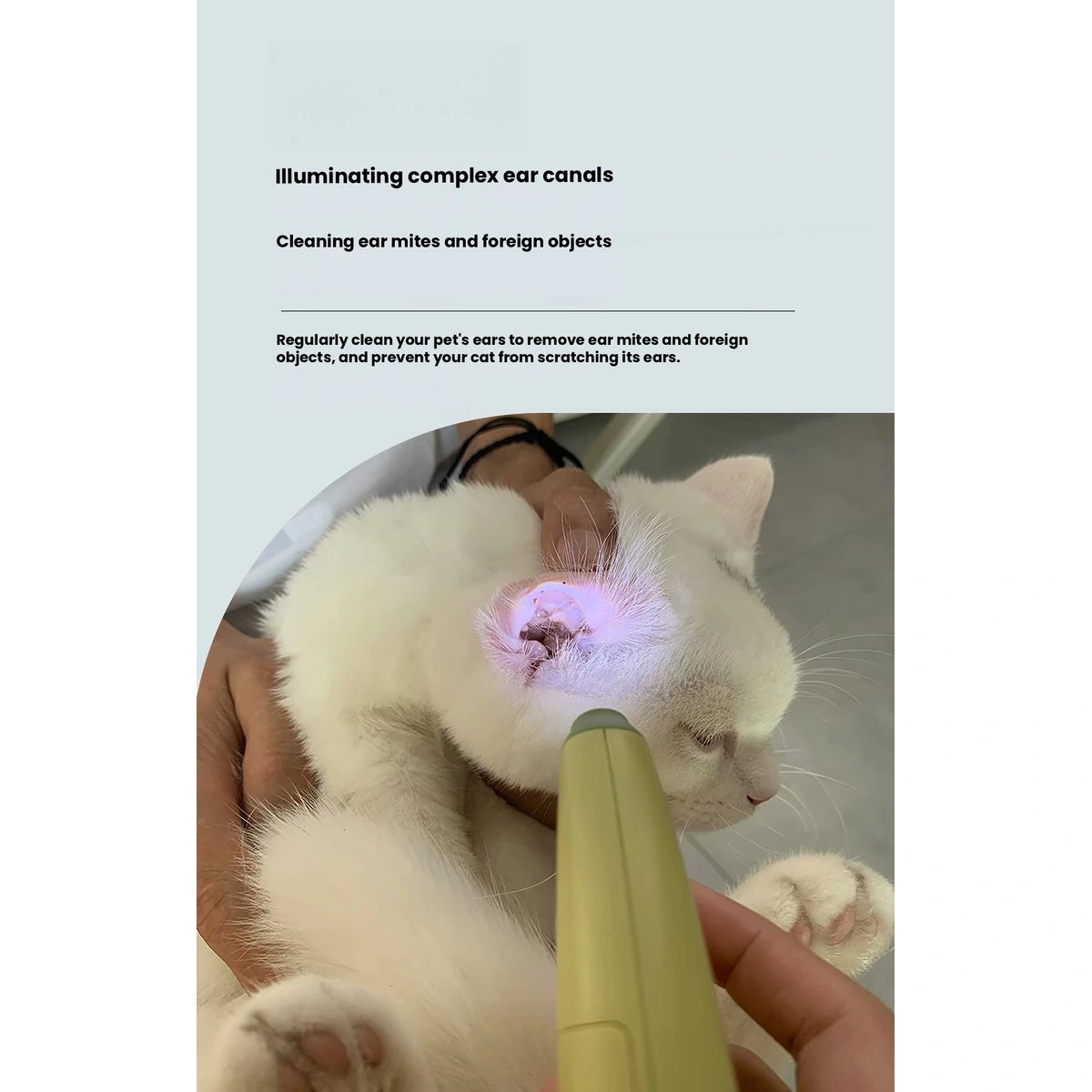AIWO LED 반려동물 발톱깎이 | 3색 사진9：고양이·클리퍼·발톱깎이