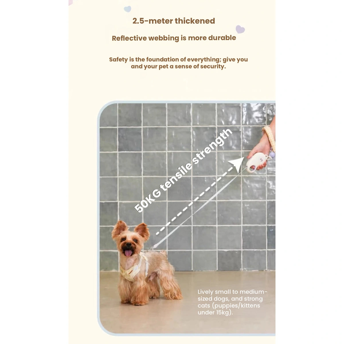 TuffHound 伸縮式犬用リード｜青・紫 画像6：犬・リード