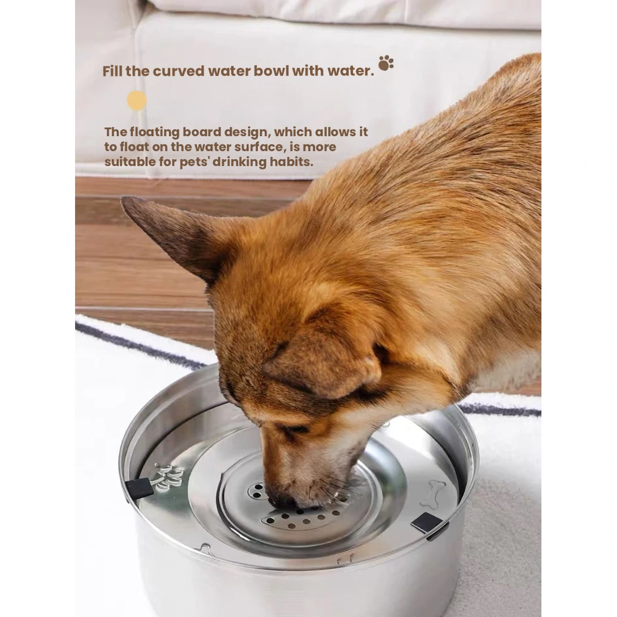 Brown dog drinking through the floating disc opening