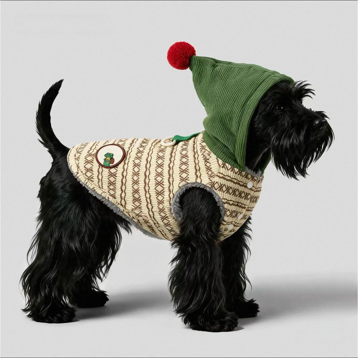 Dog wearing the green POPOCOLA hoodie