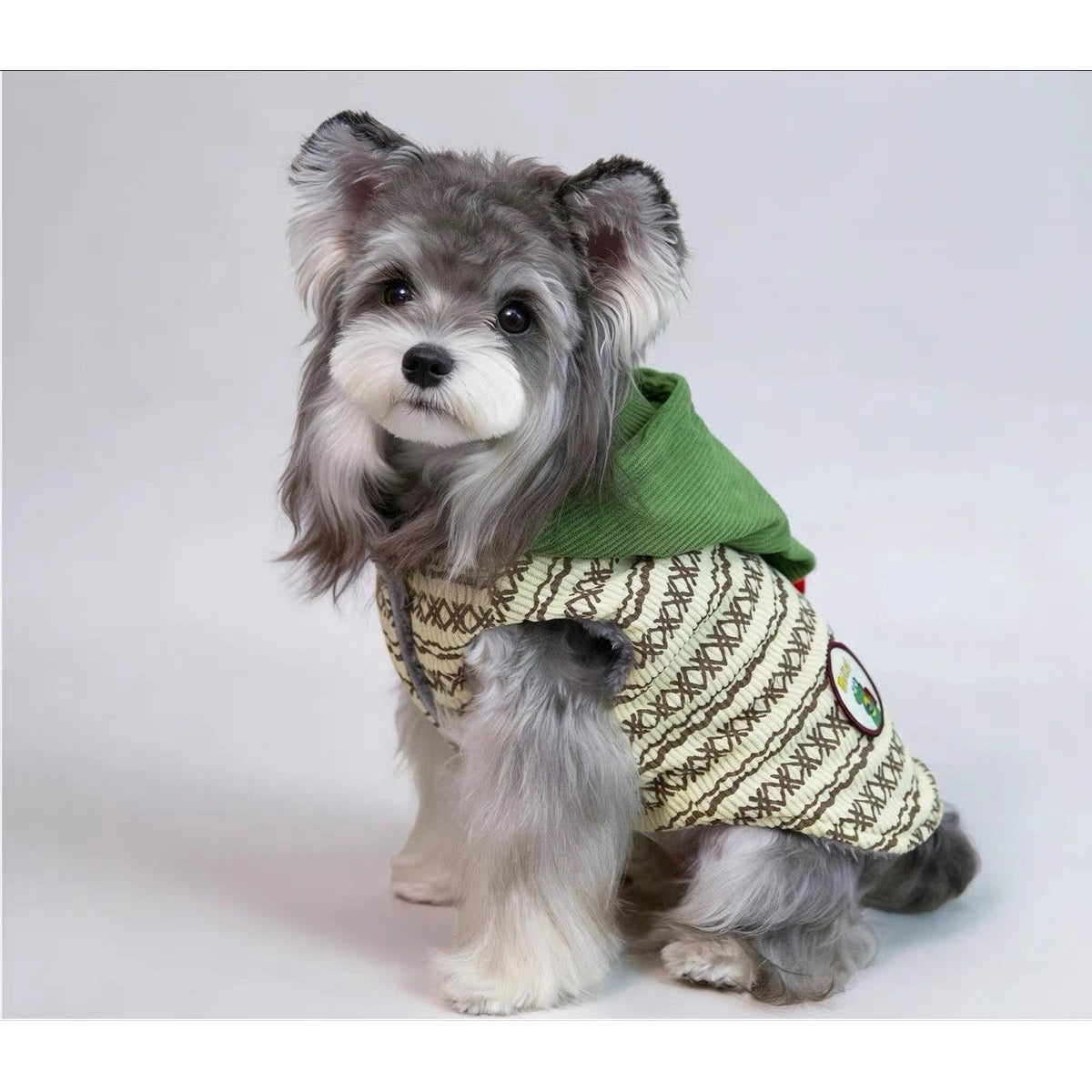 Dog wearing the POPOCOLA patterned hoodie