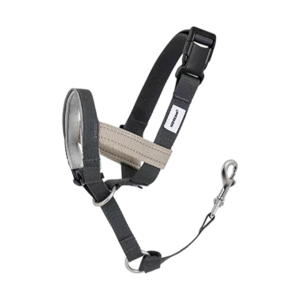 HiDREAM dog head halter with nose loop and head straps