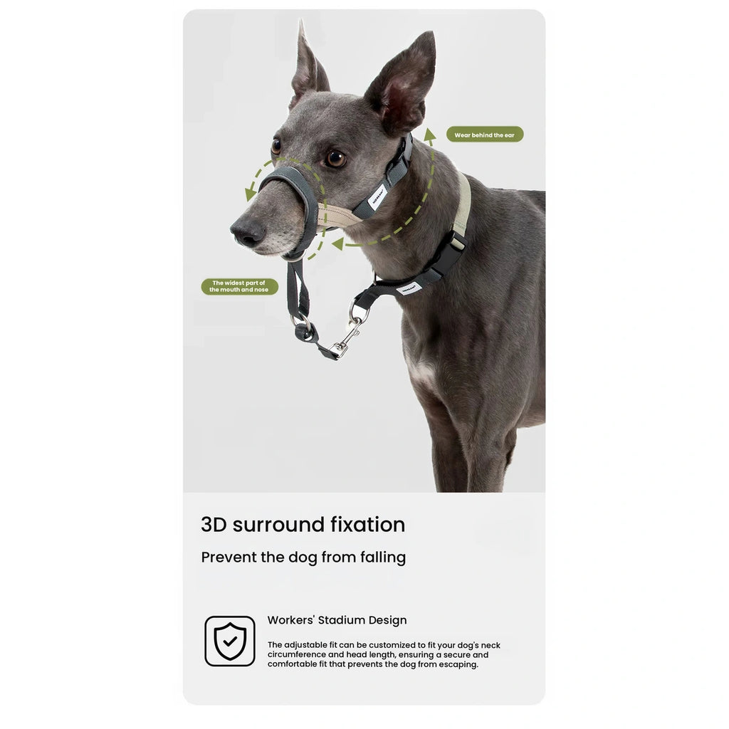Dog wearing the HiDREAM head halter from the side