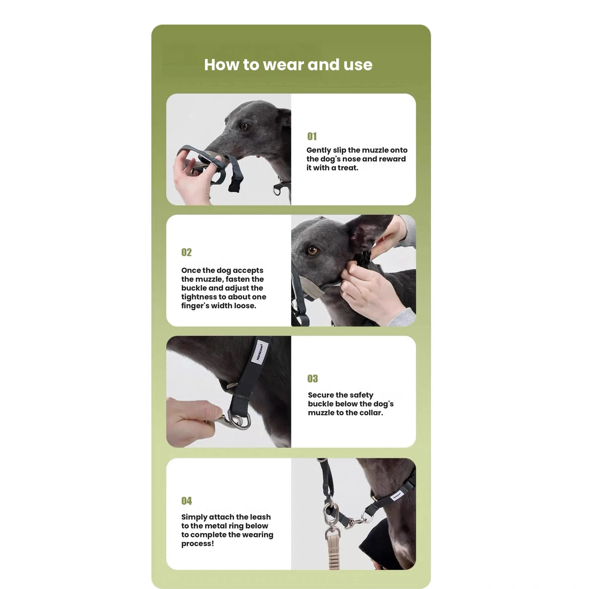Step-by-step fitting guide for the HiDREAM head halter