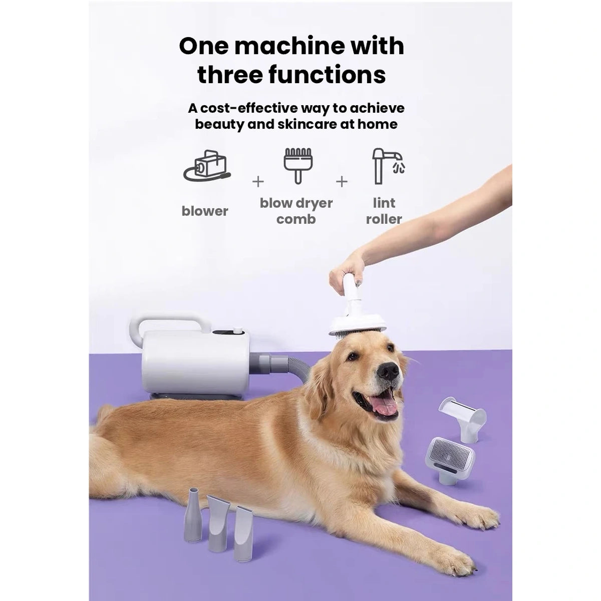 Dog beside the Redminut dryer with its three illustrated uses