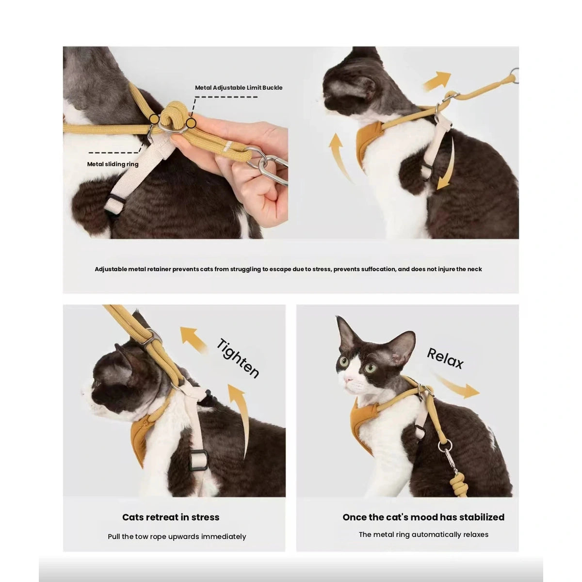 HiDREAM harness strap and fitting details shown on a cat