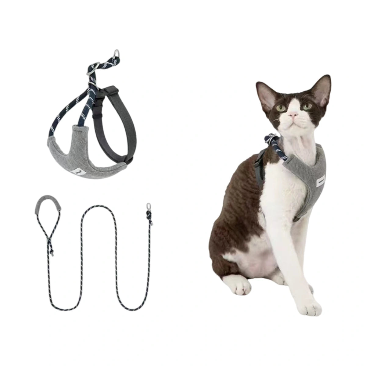 Grey HiDREAM cat harness and matching lead beside a cat