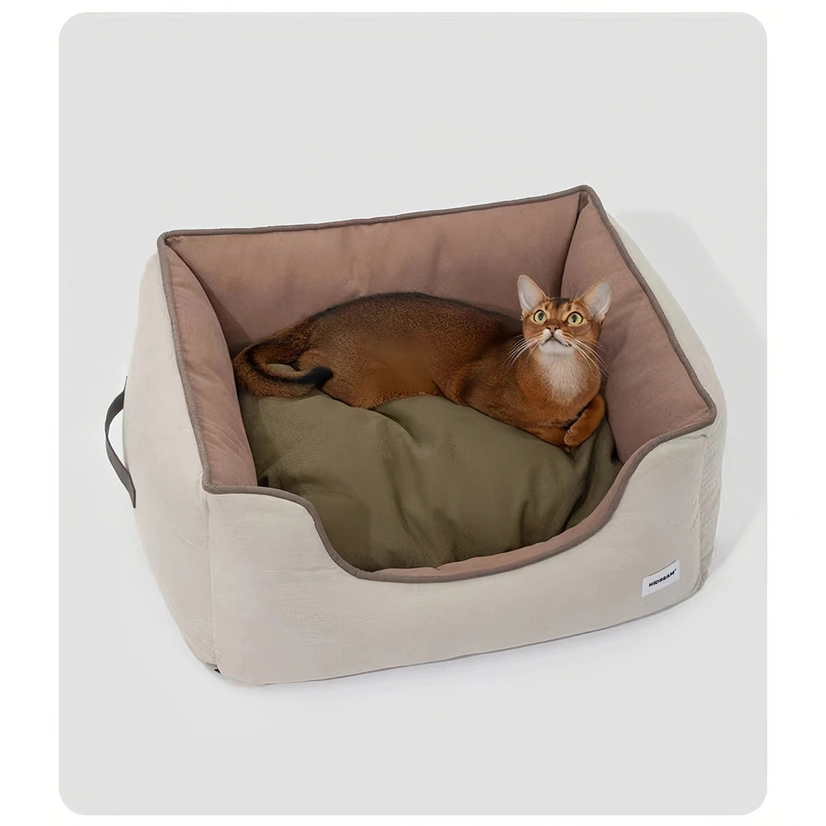 Cat resting in the HiDREAM raised-side pet bed