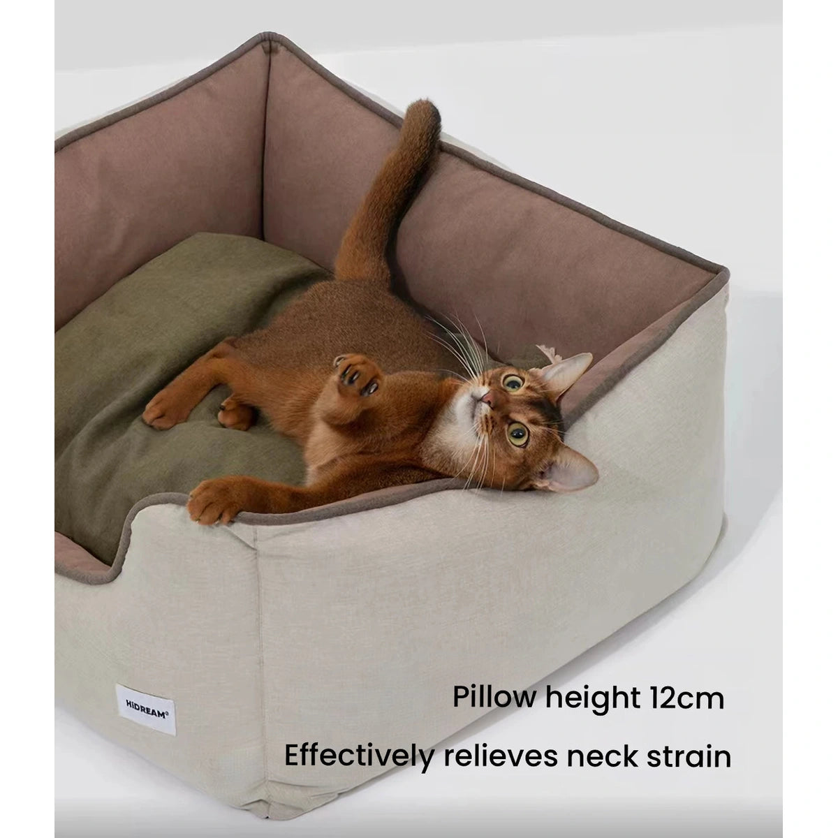 Cat resting against the raised side of the HiDREAM bed
