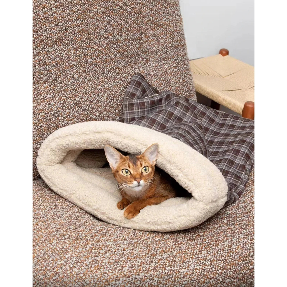Cat lying in a checked HiDREAM sleeping pocket