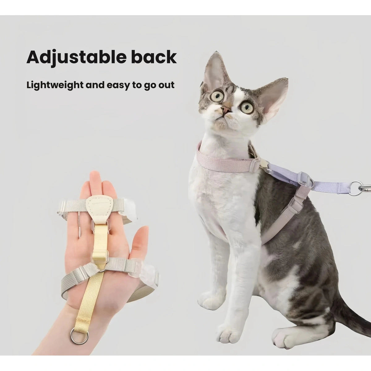 Cat wearing HiDREAM harness with adjustable back section