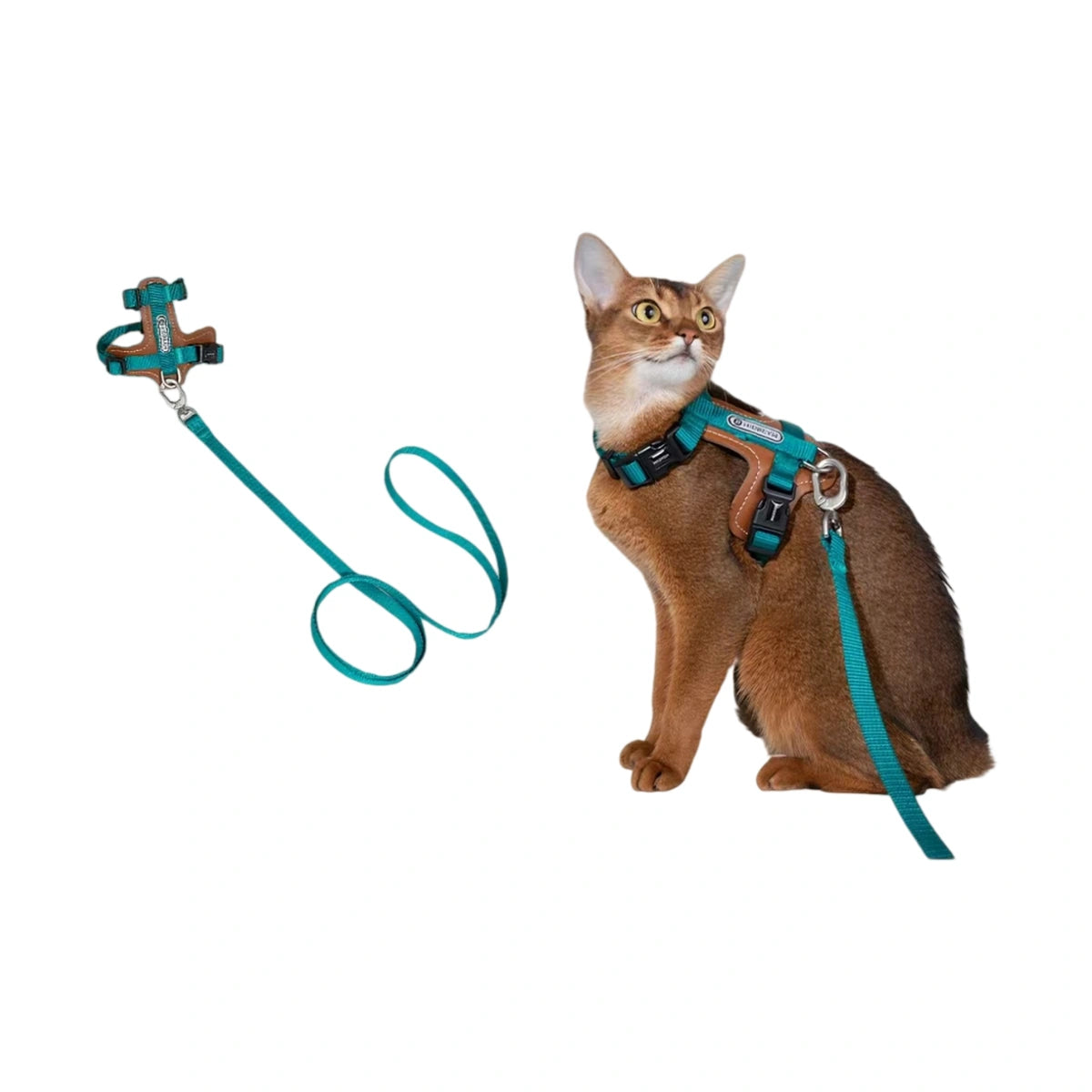 Green HiDREAM H-style harness and round lead beside a cat